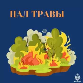 Соблюдайте правила пожарной безопасности, не сжигайте сухую траву