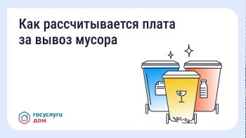 Разная плата за вывоз мусора в соседних домах — это нормально