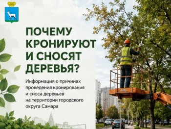 О кронировании и сносе деревьев в Самаре