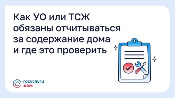 Как УО или ТСЖ обязаны отчитываться за содержание дома и где это проверить