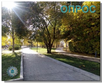 Осень щедро раскрасила городские аллеи в золото и багрянец, превратив каждый парк в настоящую живописную сказку
